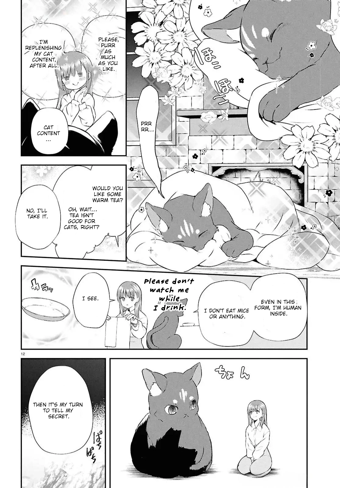 The Hideaway Café: The Mage by Accident and the Visiting Royal Secretary Chapter 5 Page 13